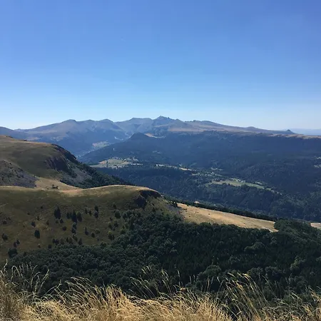 Perce-neige Murat-le-Quaire