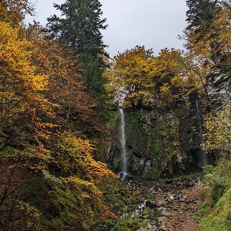 アパート Perce-neige Murat-le-Quaire