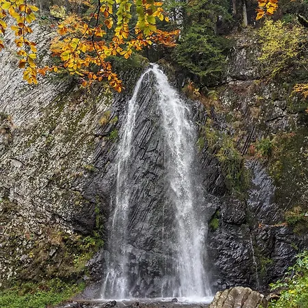 アパート Perce-neige Murat-le-Quaire