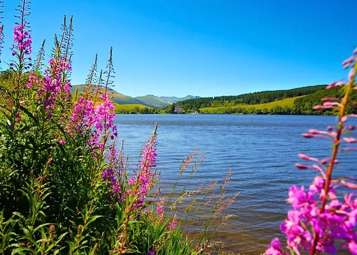 Apartment Perce-neige *